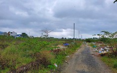 Thanh tra thành phố Đà Nẵng lập tổ công tác giải quyết tranh chấp tại dự án New Danang City