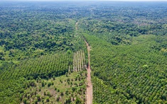 Bất động sản 24h: Phương án bồi thường cho người dân có đất bị thu hồi xây cầu Mã Đà