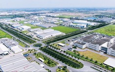Nhà đầu tư Singapore muốn làm dự án KCN dược - sinh học và năng lượng tái tạo 100 ha tại Hưng Yên