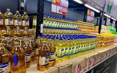 Kido bị phạt vì công bố sai lệch thông tin liên quan 1.000 tỷ đồng trái phiếu