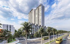 Một doanh nghiệp chi cổ tức tiền mặt “khủng” 25.000 đồng/cổ phiếu sau năm lãi lớn nhờ bất động sản