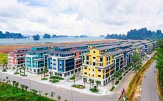 CEO Group: Lợi nhuận 9 tháng tăng 45%, rót nghìn tỷ vào dự án Sonasea Vân Đồn Harbour City