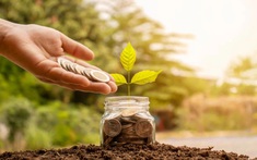 Chính thức từ 6/11, áp mức thu 3,6% mỗi năm với tiền sử dụng đất bổ sung