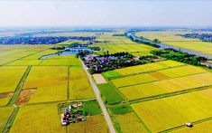 Quy định mới về miễn, giảm tiền sử dụng đất từ 6/11