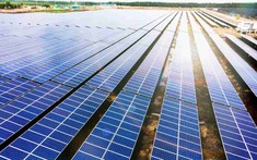 Bamboo Capital dự kiến họp cổ đông bất thường cuối tháng 12