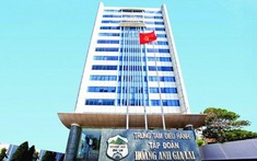 BIDV rao bán kho tài sản của Hoàng Anh Gia Lai