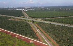 Đồng Nai mở rộng tuyến đường dài 39km kết nối với sân bay