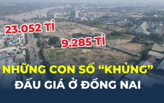 Những con số “khủng” từ khu đất sắp đấu giá ở Đồng Nai