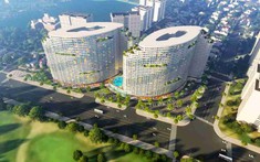 Gia đình Chủ tịch DIC Corp không mua hết quyền, cổ phiếu DIG lao dốc giữa lúc lợi nhuận tăng mạnh