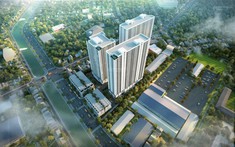 Kết luận Thanh tra về dự án NƠXH 384 Lê Thánh Tông, Hải Phòng