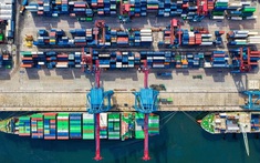 Doanh nghiệp làm gì để vượt bão thương mại toàn cầu?