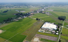 Người dân Vĩnh Long muốn xây công trình trên đất trồng lúa cần biết thông tin này