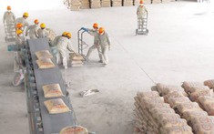 Giá vật liệu xây dựng tuần qua: Những biến động quan trọng cần biết