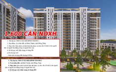 Đồng Tháp công bố thông tin 2 dự án nhà ở xã hội quy mô hơn 1.600 căn