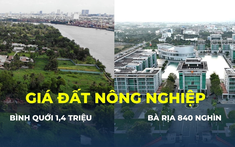 Chi tiết bảng giá đất nông nghiệp 168 xã phường TP.HCM