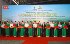 Gia Lai khánh thành nhà máy sản xuất phân bón công suất sản xuất 50.000 tấn/năm