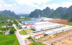 Cụm công nghiệp Xuân Vân Tuyên Quang