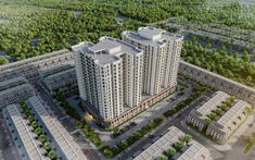 Dự án nhà ở xã hội tại Khu đô thị phường Cao Xanh và Hà Lầm Quảng Ninh