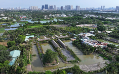 Luật Quy hoạch 2025: 3 lợi ích lớn dân cần biết khi chuyển đổi đất nông nghiệp