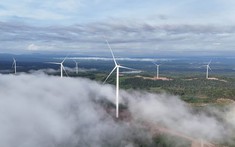 Chính thức vận hành thương mại nhà máy điện gió Savan 1 tại Lào, đưa điện gió về Việt Nam