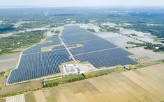 Bamboo Capital “làm mới” bộ máy lãnh đạo