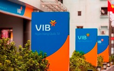 Doanh nghiệp tại TPHCM thoái bớt vốn khỏi VIB