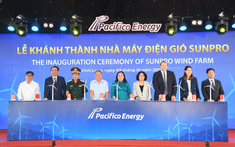Vĩnh Long có thêm nhà máy điện gió 1.600 tỷ, đủ cung cấp điện cho 27.000 hộ gia đình