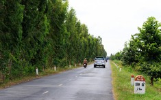 Bộ Xây dựng vừa có văn bản trả lời liên quan đến sửa chữa, nâng cấp Quốc lộ 80, Quốc lộ 30B