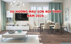 Xu hướng màu sơn nội thất năm 2026: Chọn sai màu, nhà dễ lỗi thời