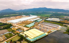 Cụm công nghiệp Cát Lâm Gia Lai