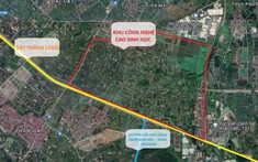 Hà Nội cho doanh nghiệp thuê hơn 10 ha đất làm dự án sinh học