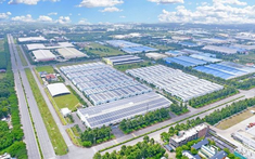 Cụm công nghiệp Nhơn Tân Gia Lai