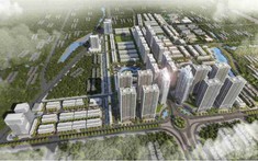 Doanh thu lao dốc, lợi nhuận co hẹp: Hoàng Huy ôm tồn kho gần 10.000 tỷ