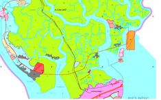 TP.HCM có đến 73.000 ha rừng: Tăng "lá phổi xanh" cho siêu đô thị