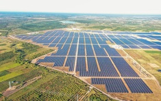 4 doanh nghiệp trong hệ sinh thái Tập đoàn Xuân Thiện bị phạt do vi phạm công bố thông tin trái phiếu