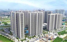 Đầu tư Xây dựng Thái Sơn: Lợi nhuận lao dốc gần 99%