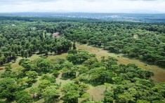 Sacombank thu giữ hơn 86.000 m2 đất của FLC để xử lý khoản nợ xấu liên quan đến Bamboo Airways