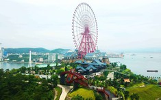 Mặt Trời Hạ Long báo lãi trở lại năm 2025