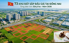 Toàn cảnh 73 khu đất chuẩn bị đấu giá tại Đồng Nai