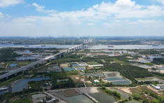 Cây cầu quan trọng trên cao tốc Bến Lức - Long Thành sắp hoàn thành: Khu vực nào sẽ hưởng lợi?