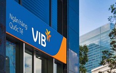 Gia đình Phó Chủ tịch VIB cùng lúc mua vào và bán ra lượng lớn cổ phiếu