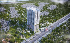 Cổ phiếu DRH của DRH Holdings bị đưa vào diện cảnh báo từ ngày 24/4, tiếp tục chịu nhiều diện giám sát trên HoSE