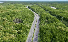 TP.HCM chấp thuận lập đề xuất nâng cấp đường Rừng Sác lên 10 làn xe, vốn hơn 19.000 tỷ đồng