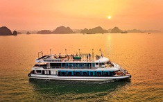 Vịnh Hạ Long bước vào giai đoạn quy hoạch bảo tồn quy mô lớn hướng tới năm 2050