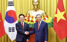 Việt Nam - Hàn Quốc nỗ lực đạt kim ngạch thương mại 150 tỷ USD