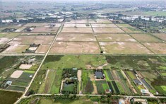 Thu hồi gần 28 ha đất lúa tại Tam Hưng để triển khai phân khu đầu tiên của đại đô thị Olympic