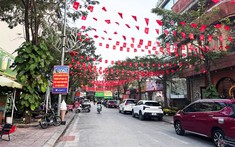 Trước ngày 30/6, hoàn thành việc xắp xếp thôn, tổ dân phố trên cả nước 