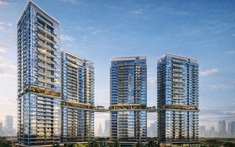 Palm River: Dự án căn hộ tại TP.HCM