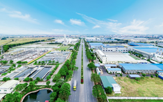 Phó Tổng giám đốc MIK Group làm CEO công ty mới của Gelex Infra