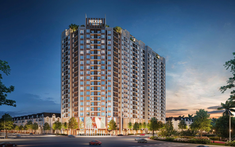 Nexus Tower: Dự án căn hộ tại Phú Thọ